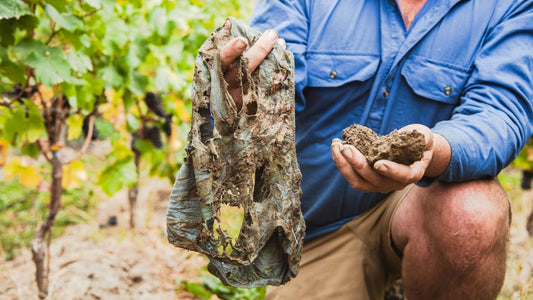 Soil your undies: a simple test that changed how we think about soil health