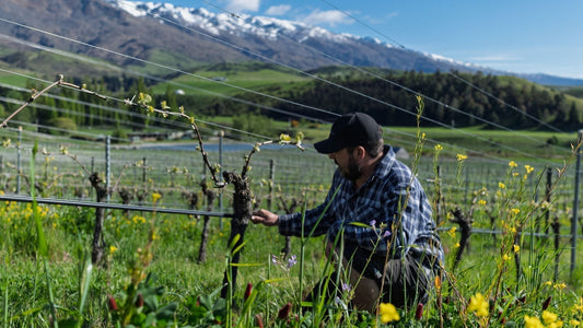 The Cover Up (and our cover guy)