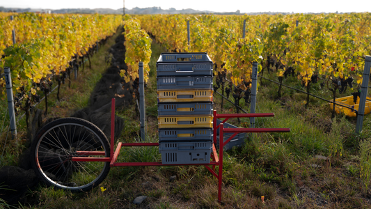 Pleasure ▪ Culture ▪ Craft - Issue 12